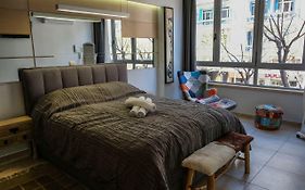 Luxury Cozy Large Apartment In The City Center